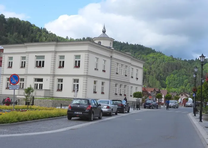 Magnolia מוז'ינה